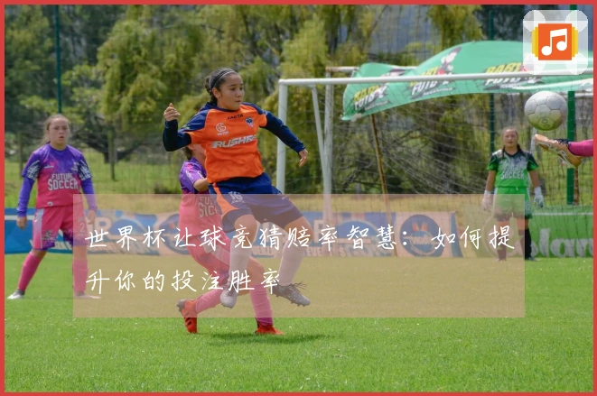 世界杯让球竞猜赔率智慧：如何提升你的投注胜率
