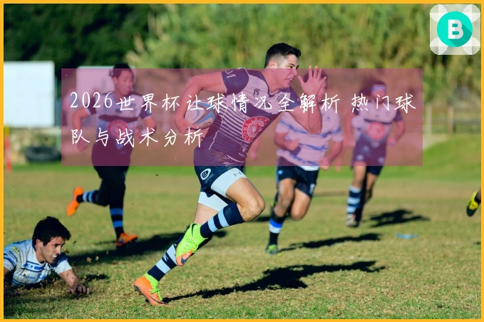 2026世界杯让球情况全解析 热门球队与战术分析