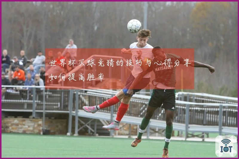 世界杯买球竞猜的技巧与心得分享如何提高胜率