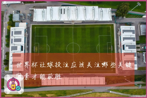 世界杯让球投注应该关注哪些关键因素才能获胜