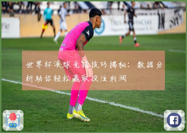 世界杯滚球竞猜技巧揭秘：数据分析助你轻松赢取投注利润