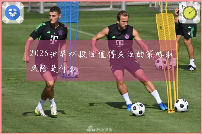 2026世界杯投注值得关注的策略和风险是什么