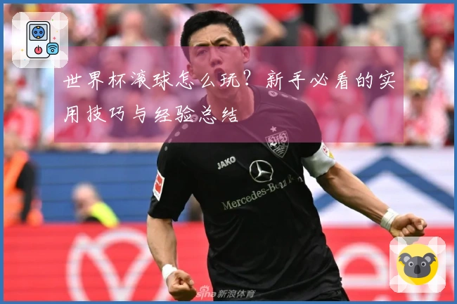 世界杯滚球怎么玩？新手必看的实用技巧与经验总结