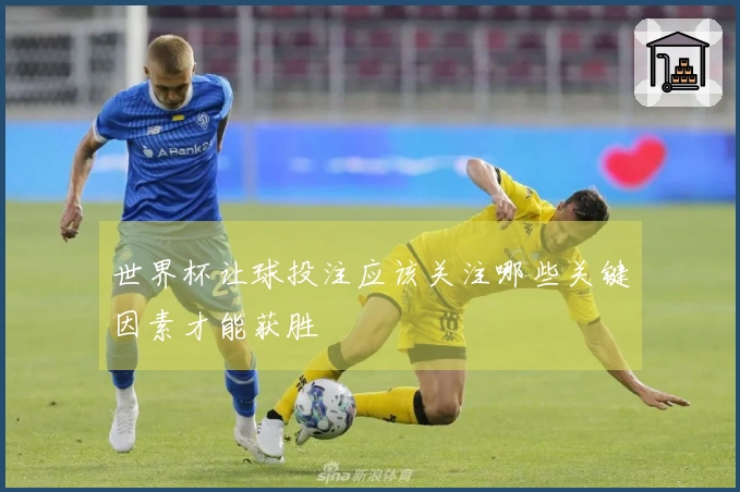 世界杯让球投注应该关注哪些关键因素才能获胜