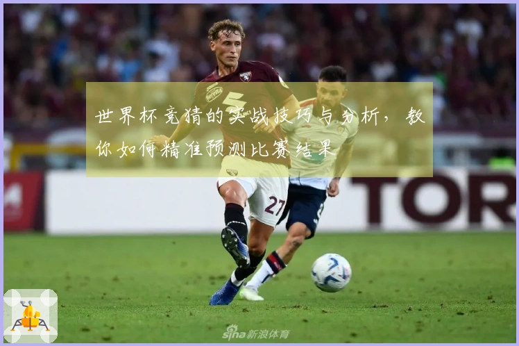 世界杯竞猜的实战技巧与分析，教你如何精准预测比赛结果