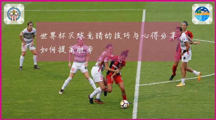 世界杯买球竞猜的技巧与心得分享如何提高胜率